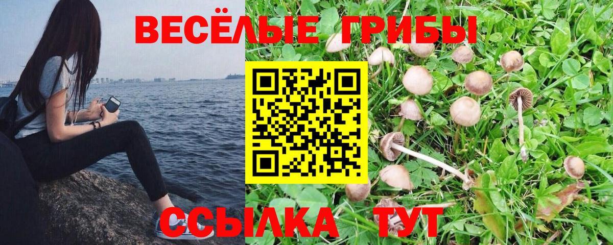 купить закладку  Галлюциногенные грибы мухоморы  Заводоуковск  Вход с VPN  Галлюциногенные грибы мицелий 