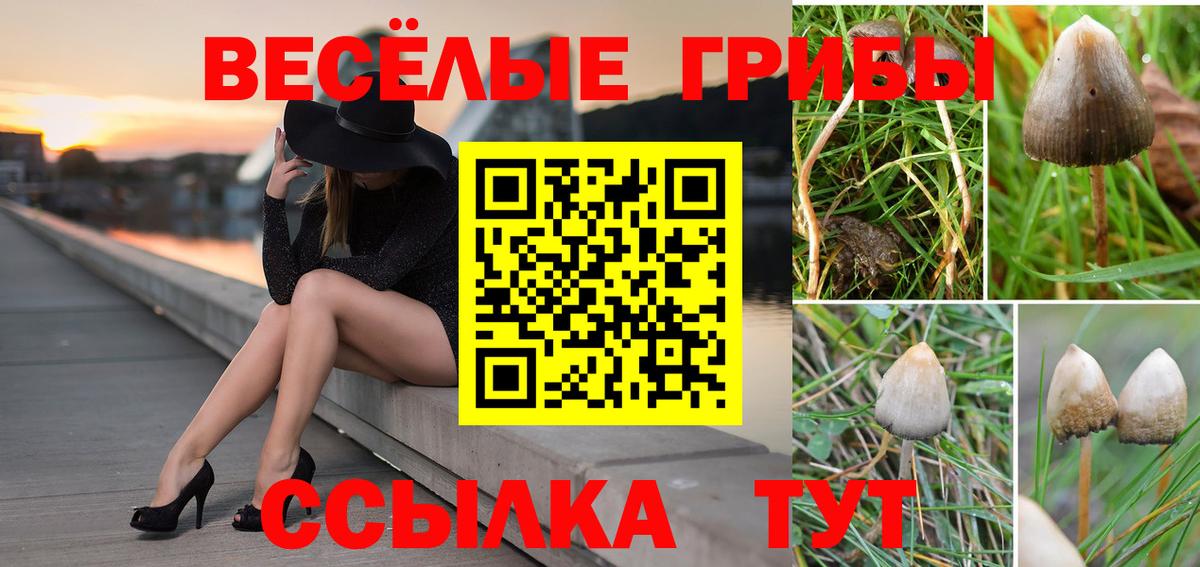 Галлюциногенные грибы ЛСД Заводоуковск