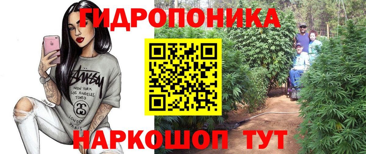 Шишки марихуана THC 21% Заводоуковск